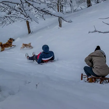 Planinarski Dom ゲストハウス *